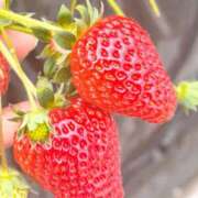 ヒメ日記 2026/02/17 11:16 投稿 瑞木瑠華 ローテンブルク