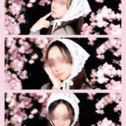 ヒメ日記 2026/04/01 11:12 投稿 瑞木瑠華 ローテンブルク