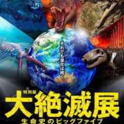 ヒメ日記 2025/02/18 19:05 投稿 伊原知花 ローテンブルク