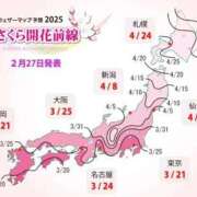 ヒメ日記 2025/03/01 09:24 投稿 伊原知花 ローテンブルク