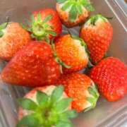 ヒメ日記 2025/03/21 11:08 投稿 伊原知花 ローテンブルク