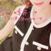 ヒメ日記 2025/03/30 19:27 投稿 伊原知花 ローテンブルク