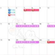 ヒメ日記 2025/04/10 11:09 投稿 伊原知花 ローテンブルク