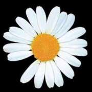 ヒメ日記 2025/05/08 15:06 投稿 伊原知花 ローテンブルク