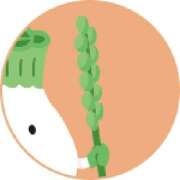 ヒメ日記 2025/05/31 22:10 投稿 伊原知花 ローテンブルク