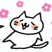 ヒメ日記 2025/06/02 18:07 投稿 伊原知花 ローテンブルク