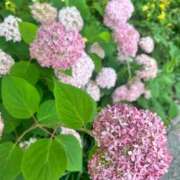 ヒメ日記 2025/06/17 15:44 投稿 伊原知花 ローテンブルク