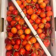 ヒメ日記 2025/06/22 21:39 投稿 伊原知花 ローテンブルク