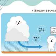 ヒメ日記 2025/08/25 20:45 投稿 伊原知花 ローテンブルク