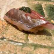 ヒメ日記 2025/08/26 18:23 投稿 伊原知花 ローテンブルク