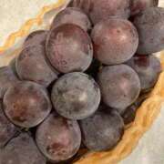 ヒメ日記 2025/09/10 16:28 投稿 伊原知花 ローテンブルク