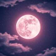 ヒメ日記 2025/10/27 20:43 投稿 伊原知花 ローテンブルク