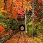 ヒメ日記 2025/11/06 22:11 投稿 伊原知花 ローテンブルク