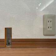 ヒメ日記 2025/12/02 21:35 投稿 伊原知花 ローテンブルク