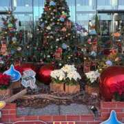 ヒメ日記 2025/12/17 19:52 投稿 伊原知花 ローテンブルク