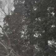 ヒメ日記 2026/01/20 08:45 投稿 伊原知花 ローテンブルク