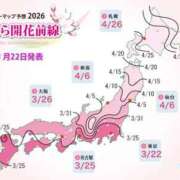 ヒメ日記 2026/01/22 19:07 投稿 伊原知花 ローテンブルク