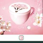 ヒメ日記 2026/02/18 08:41 投稿 伊原知花 ローテンブルク