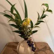 ヒメ日記 2026/03/05 13:39 投稿 伊原知花 ローテンブルク