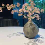 ヒメ日記 2026/03/19 21:02 投稿 伊原知花 ローテンブルク