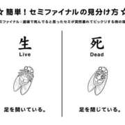ヒメ日記 2026/08/04 18:35 投稿 伊原知花 ローテンブルク