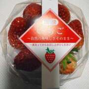 ヒメ日記 2026/02/21 11:42 投稿 菊島ゆな ローテンブルク