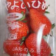 ヒメ日記 2026/02/25 14:21 投稿 菊島ゆな ローテンブルク