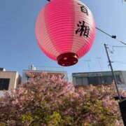 ヒメ日記 2026/03/01 13:32 投稿 菊島ゆな ローテンブルク