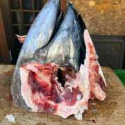 ヒメ日記 2026/03/05 14:37 投稿 菊島ゆな ローテンブルク