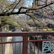 ヒメ日記 2026/03/09 16:15 投稿 菊島ゆな ローテンブルク