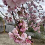 ヒメ日記 2026/03/13 21:12 投稿 菊島ゆな ローテンブルク