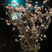 ヒメ日記 2026/03/18 21:55 投稿 菊島ゆな ローテンブルク