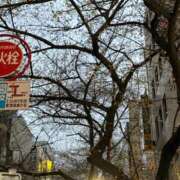 ヒメ日記 2026/03/26 18:14 投稿 菊島ゆな ローテンブルク