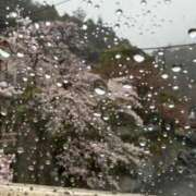 ヒメ日記 2026/03/31 21:26 投稿 菊島ゆな ローテンブルク