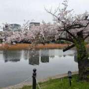 ヒメ日記 2026/04/07 10:33 投稿 菊島ゆな ローテンブルク