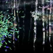 ヒメ日記 2026/04/17 13:01 投稿 菊島ゆな ローテンブルク