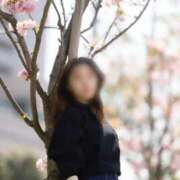 ヒメ日記 2025/03/23 13:29 投稿 ひかり Versailles