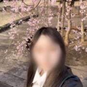 ヒメ日記 2025/03/27 13:09 投稿 ひかり Versailles