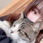 ヒメ日記 2025/06/06 10:10 投稿 ひかり Versailles