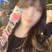 ヒメ日記 2025/11/15 12:52 投稿 なお Versailles