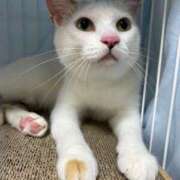 ヒメ日記 2025/02/02 18:44 投稿 りおん 錦糸町ぽちゃカワ女子専門店！我慢できないの！