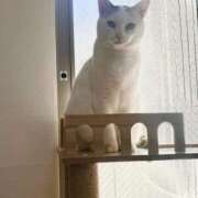 ヒメ日記 2025/02/13 19:21 投稿 りおん 錦糸町ぽちゃカワ女子専門店！我慢できないの！