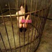 ヒメ日記 2025/03/12 11:56 投稿 みち ウルトラセレクション