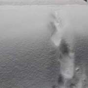 ヒメ日記 2026/01/25 16:35 投稿 リンリン ドMなバニーちゃん すすきの店