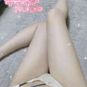 ヒメ日記 2025/07/02 19:12 投稿 うい Flower（フラワー）