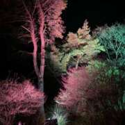 ヒメ日記 2025/02/11 21:59 投稿 天使ひめか 新ハイブリッドエステ エクスタシーPLUS