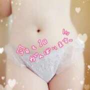 ヒメ日記 2025/03/08 07:30 投稿 中村美紀子 五十路マダム　広島店