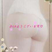 ヒメ日記 2025/04/06 16:54 投稿 中村美紀子 五十路マダム　広島店