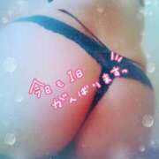 ヒメ日記 2025/04/30 17:18 投稿 中村美紀子 五十路マダム　広島店