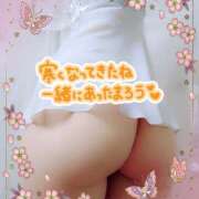 ヒメ日記 2025/05/03 01:26 投稿 中村美紀子 五十路マダム　広島店